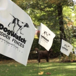 Photo of DogWatch Hidden Fence