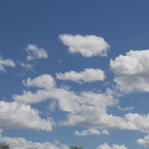 Photo of Indigo Skies