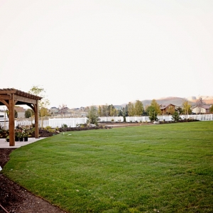Photo of Strong Landscape