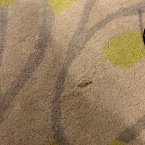 Photo of ABC Rug Restoration