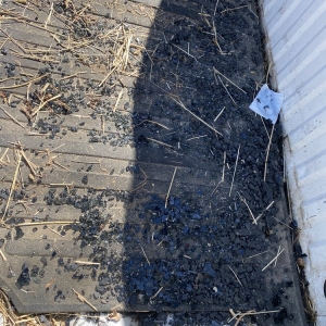 Photo of AllState Auto Glass