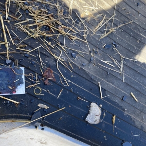Photo of AllState Auto Glass