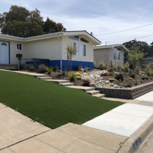 Photo of Pacific Landscaping & Tree Service