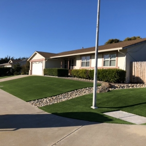 Photo of Pacific Landscaping & Tree Service