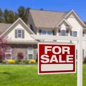 Photo of Lana Cole Realty
