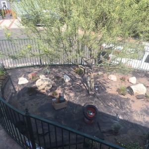Photo of La Canada Rustic Stone