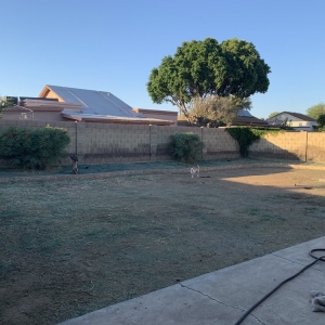 Photo of Budget Saver Lawn Service