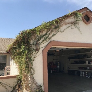 Photo of Budget Saver Lawn Service