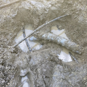 Photo of Everdry Waterproofing of S.E. Michigan