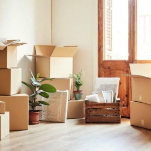 Photo of South Hills Movers