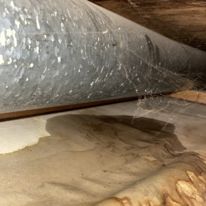 Photo of Courtesy Plumbing