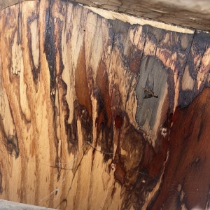 Photo of Courtesy Plumbing