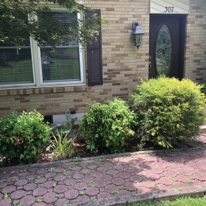 Photo of Westbrook Tree Service and Landscaping