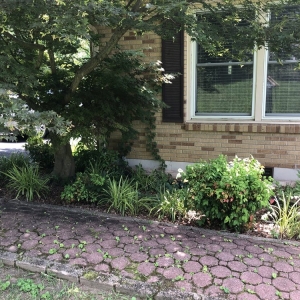 Photo of Westbrook Tree Service and Landscaping