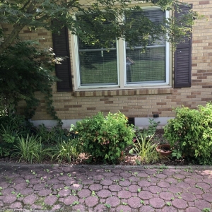 Photo of Westbrook Tree Service and Landscaping