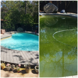 Photo of 4 Seasons Quality Pool & Spa Service