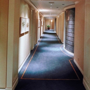 Photo of Dalmet Carpet Cleaning