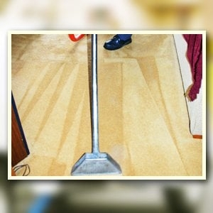 Photo of Dalmet Carpet Cleaning