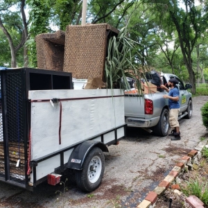 Elgin Aussie Turf & Landscaping