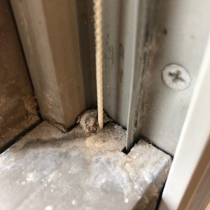 Photo of Royal Pane Window Cleaning & Pressure Washing