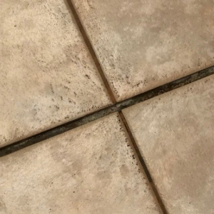 Photo of The Grout Doctor Mesa/Apache Junction