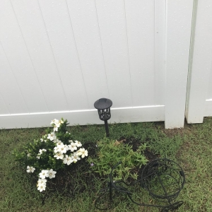 Charlotte Town & Country Fence