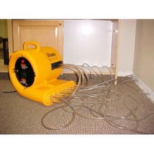 Photo of Top Remediation Specialist