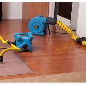 Photo of Top Remediation Specialist