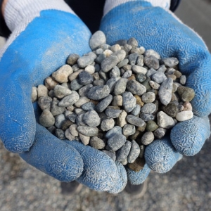 Photo of Dirt Exchange