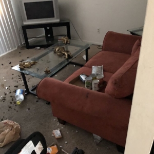 Photo of Steri-Clean Utah