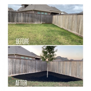 Photo of Alpha and Omega Landscaping