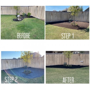 Photo of Alpha and Omega Landscaping