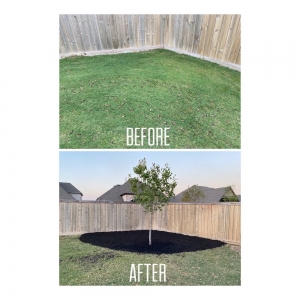 Photo of Alpha and Omega Landscaping