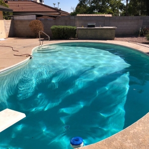 Photo of Bottom Feeder Pool Care