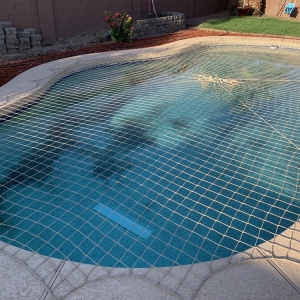 Photo of Bottom Feeder Pool Care