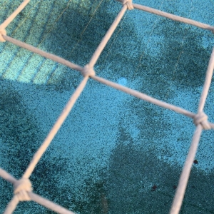 Photo of Bottom Feeder Pool Care