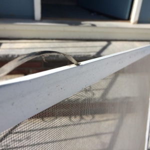 Photo of Victory Plus+ Windows Cleaning, Repair, and Home Services