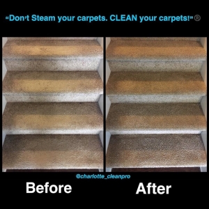 Photo of Charlotte Cleanpro