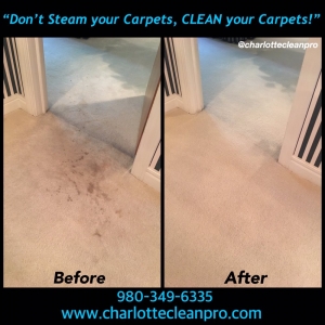 Photo of Charlotte Cleanpro