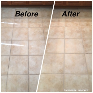 Photo of Charlotte Cleanpro