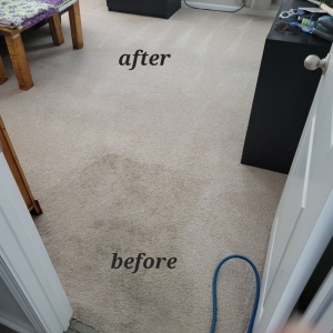 Photo of Rumsey's Carpet Care