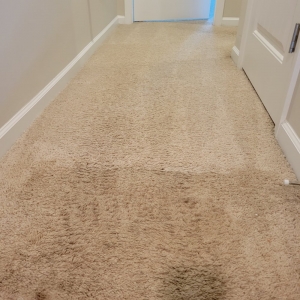 Photo of Rumsey's Carpet Care