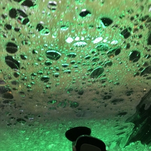 Photo of Rich's Wash Dat
