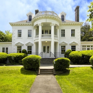 Photo of Twin Maples