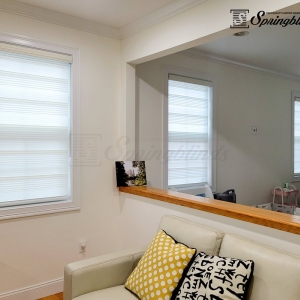 Photo of SpringBlinds