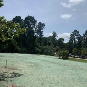 Magnolia A&D Hydroseed