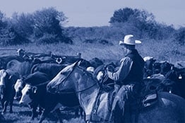 Photo of McKinnon Patten & Associates