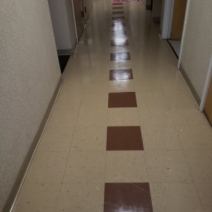 Photo of Deisy Cleaning Service