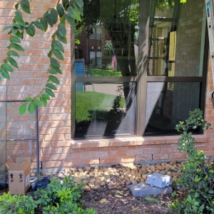 Photo of Window City
