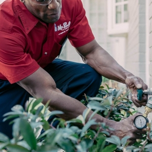 Photo of Mr. Rooter Plumbing of Pearl